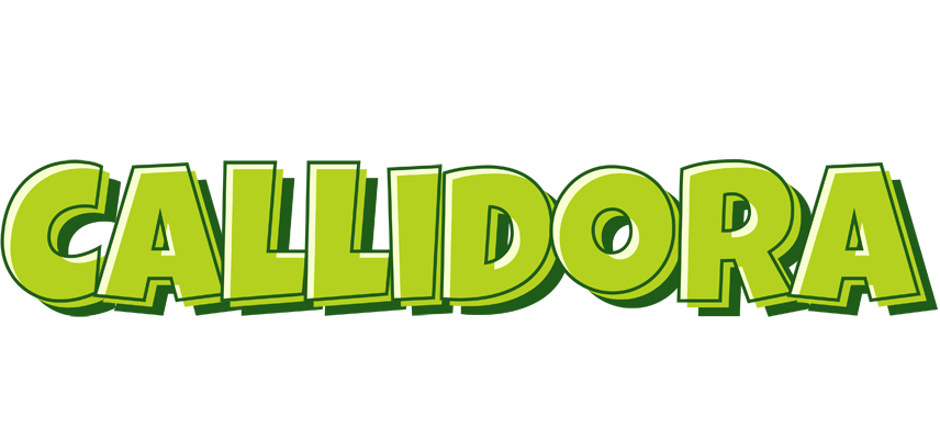 Callidora summer logo