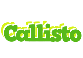 Callisto picnic logo