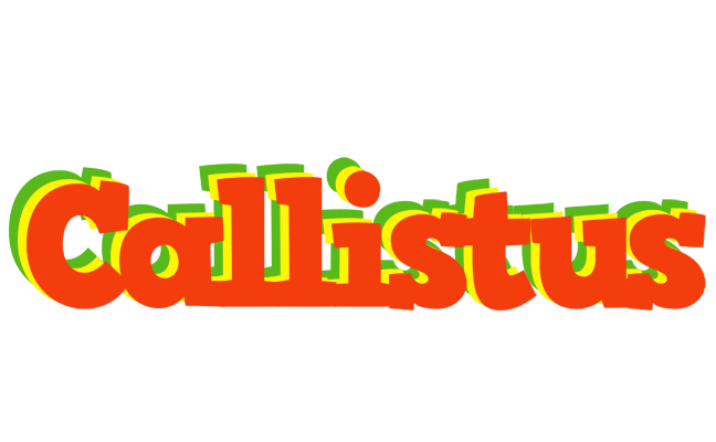 Callistus bbq logo