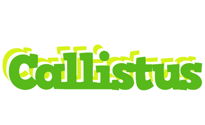 Callistus picnic logo