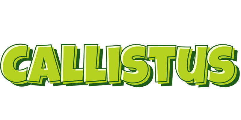 Callistus summer logo