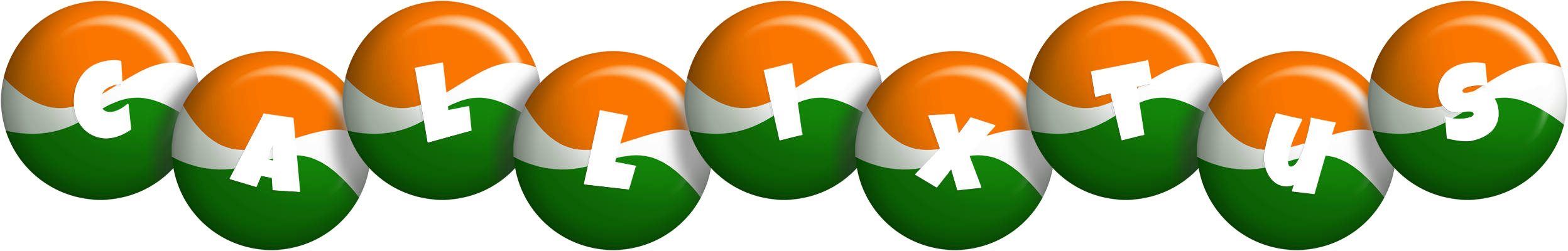 Callixtus india logo