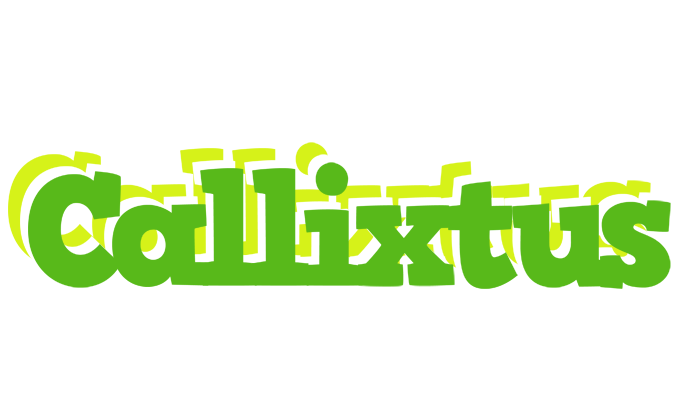 Callixtus picnic logo