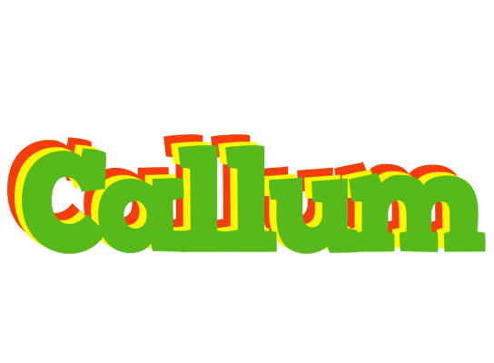 Callum crocodile logo