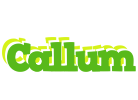 Callum picnic logo