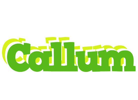 Callum picnic logo