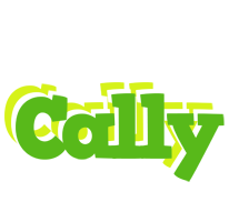 Cally picnic logo