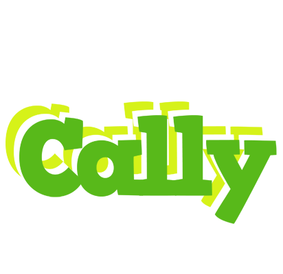 Cally picnic logo