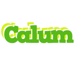 Calum picnic logo