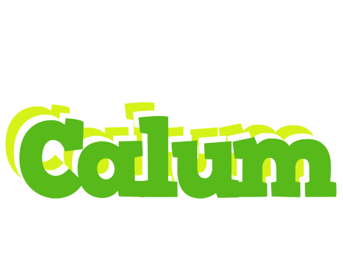Calum picnic logo