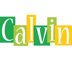 Calvin lemonade logo