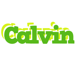 Calvin picnic logo