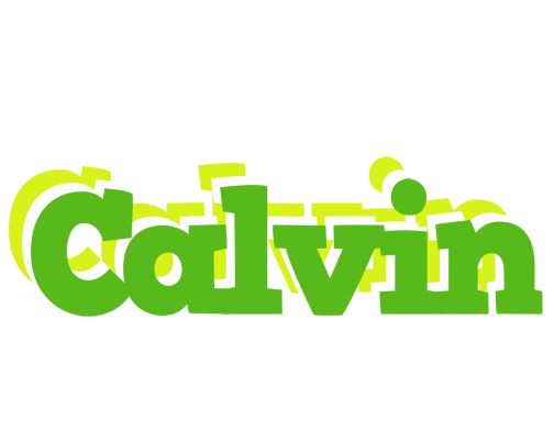 Calvin picnic logo