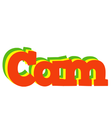 Cam bbq logo