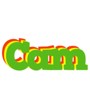 Cam crocodile logo