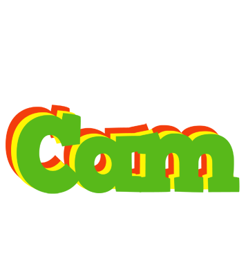 Cam crocodile logo