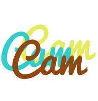 Cam cupcake logo
