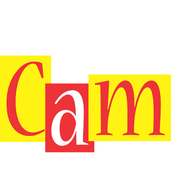 Cam errors logo