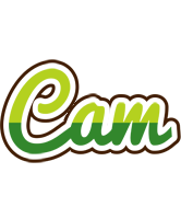 Cam golfing logo