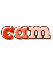 Cam paint logo