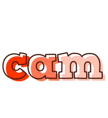 Cam paint logo