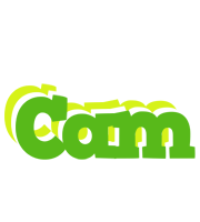 Cam picnic logo