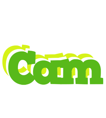 Cam picnic logo