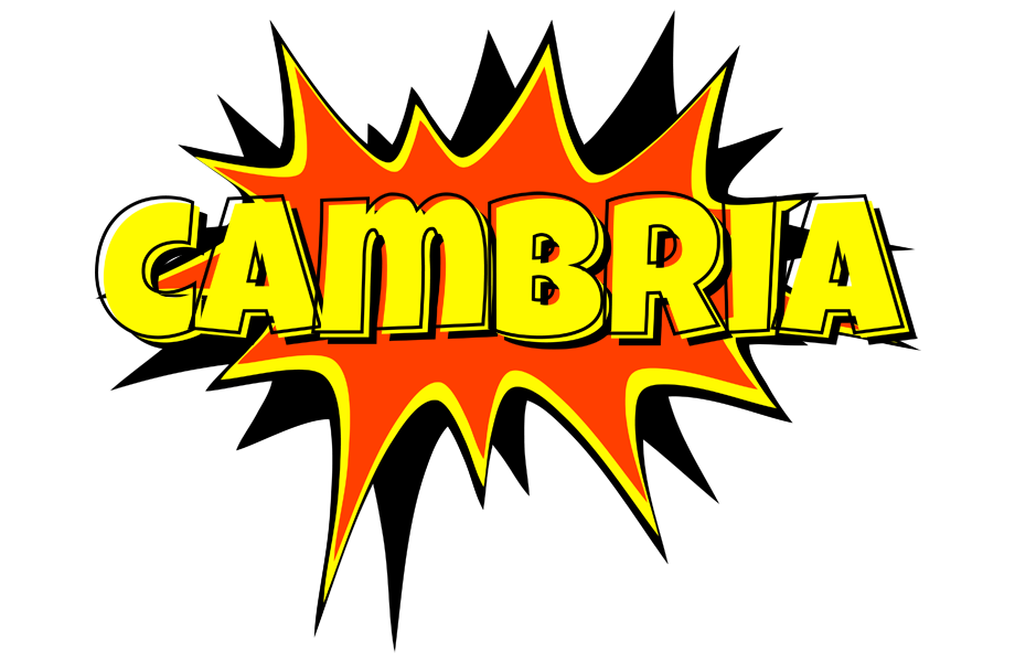 Cambria bazinga logo