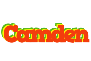 Camden bbq logo