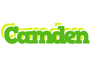 Camden picnic logo