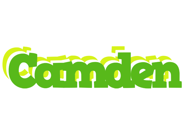 Camden picnic logo