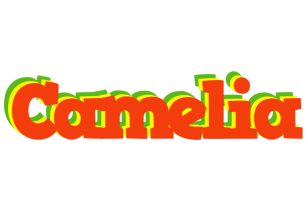 Camelia bbq logo