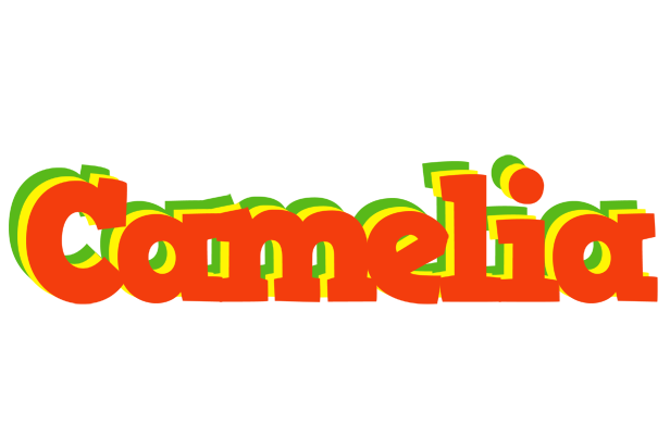 Camelia bbq logo
