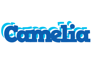 Camelia business logo