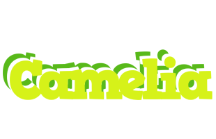 Camelia citrus logo