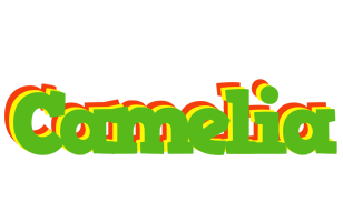 Camelia crocodile logo