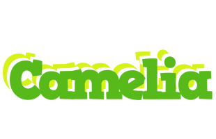 Camelia picnic logo