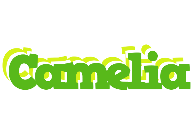 Camelia picnic logo