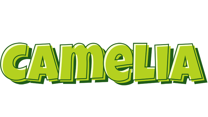 Camelia summer logo