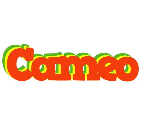 Cameo bbq logo