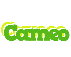 Cameo picnic logo