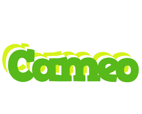 Cameo picnic logo