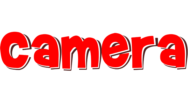 Camera basket logo
