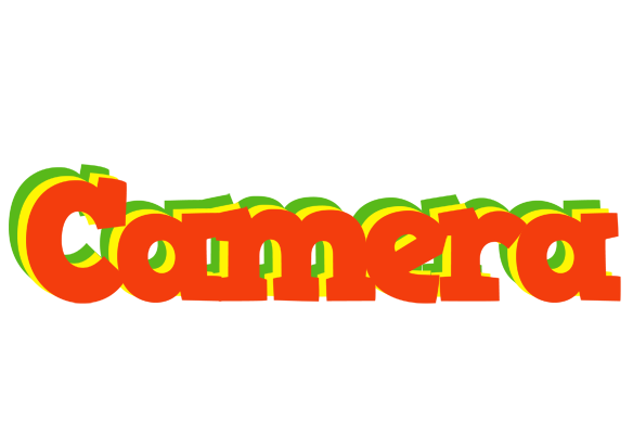 Camera bbq logo