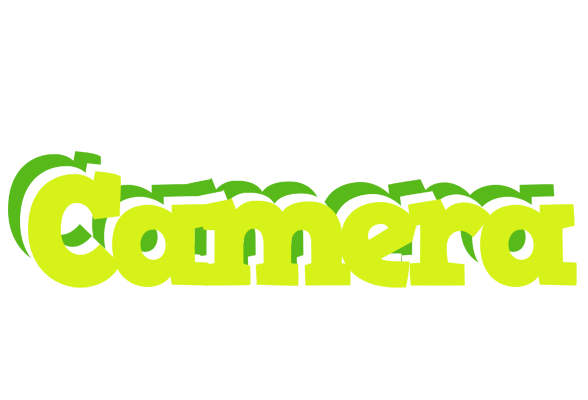 Camera citrus logo