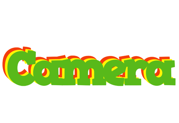 Camera crocodile logo
