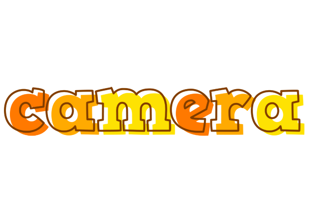 Camera desert logo