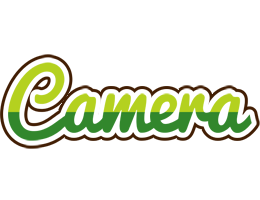 Camera golfing logo