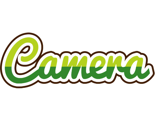 Camera golfing logo