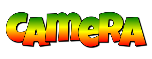Camera mango logo